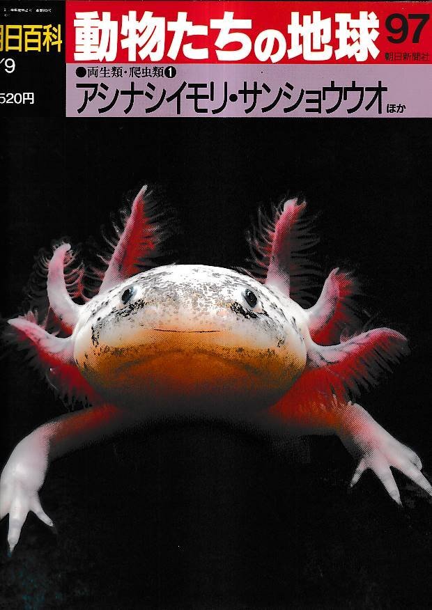 2025年最新】Yahoo!オークション -動物たちの地球の中古品・新品 2025年最新】Yahoo!オークション -動物たちの地球の中古品・新品