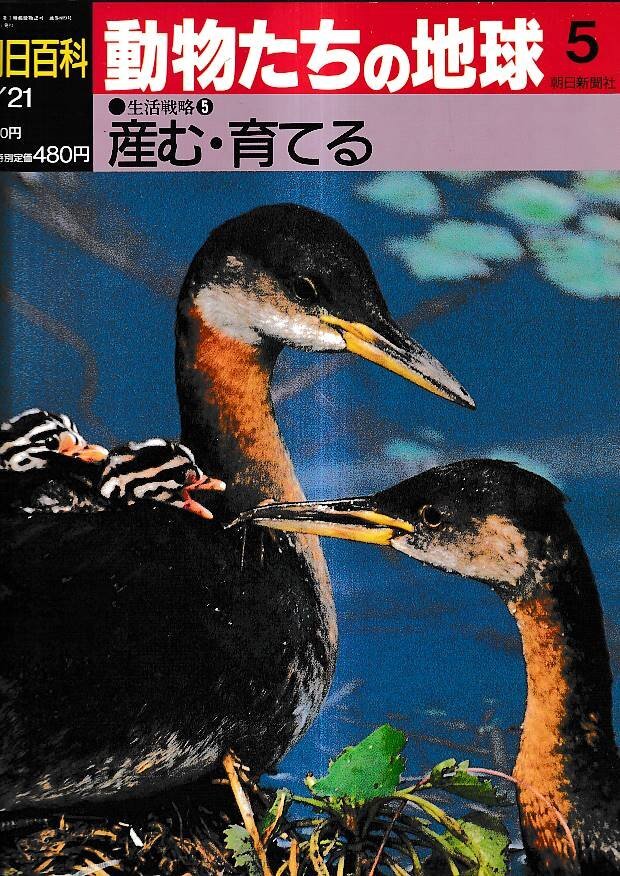 2025年最新】Yahoo!オークション -動物たちの地球の中古品・新品