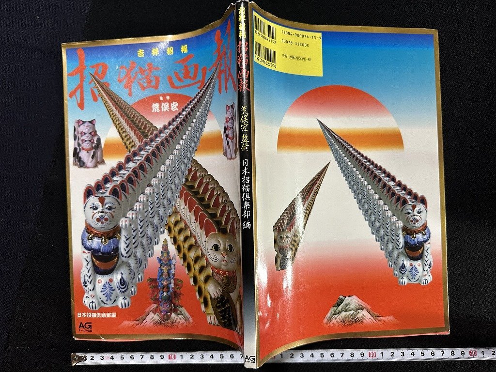 若者に人気のブランド 2025年最新】Yahoo!オークション -荒俣宏 本の中古品・新品・未 アート・デザイン・音楽