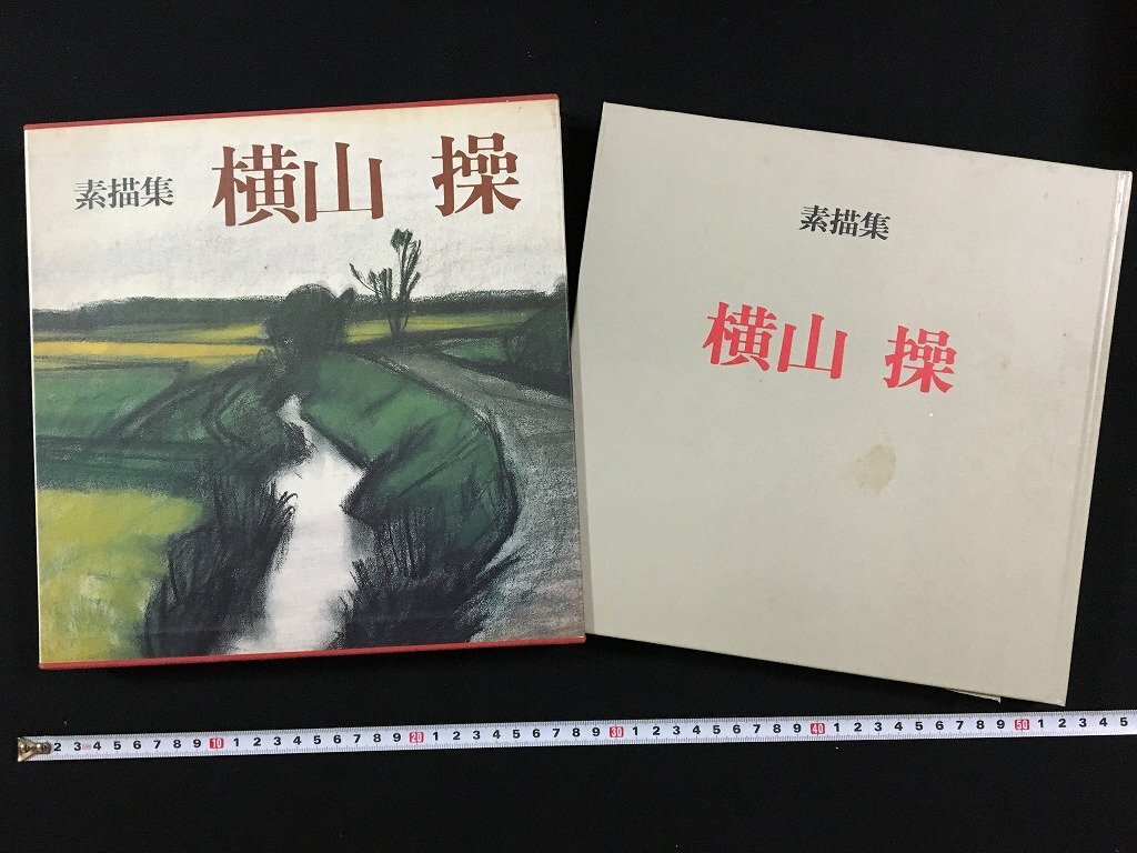 2025年最新】Yahoo!オークション -絵画 横山操(画集、作品集)の