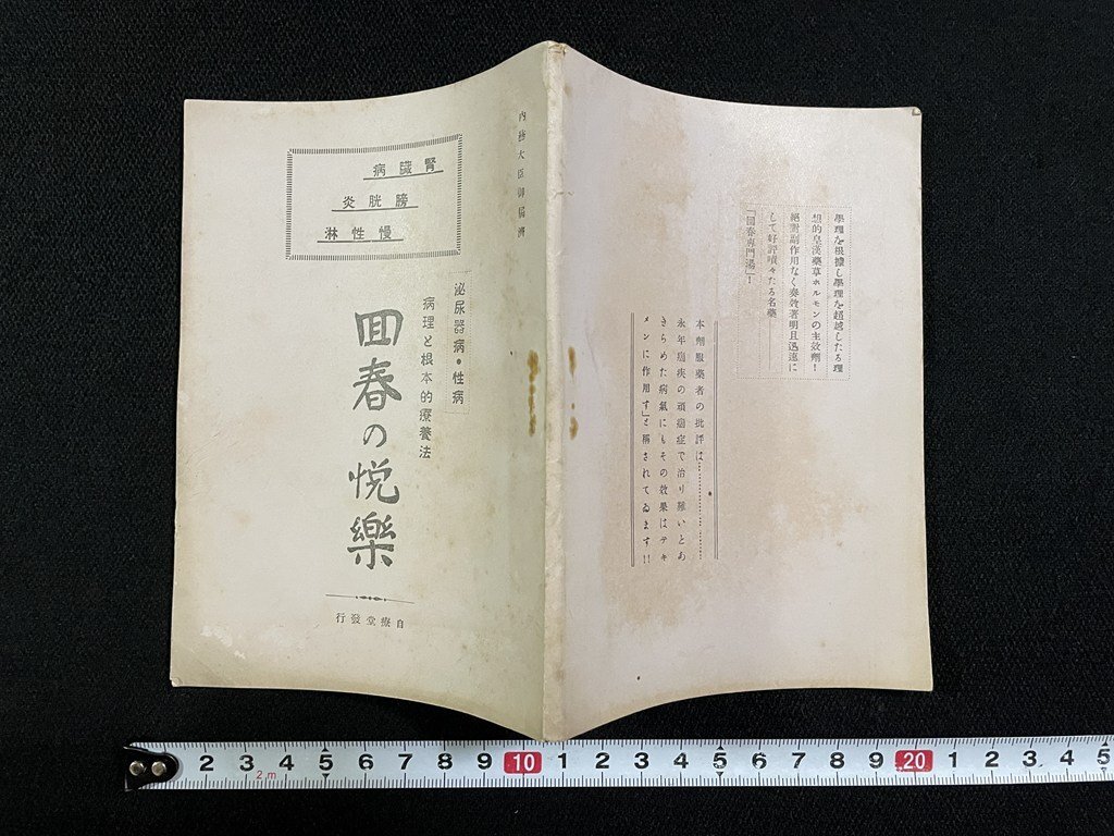 回春指南　古書 回春 病因指南 上下巻(岡本一抱子 撰) / 藤沢書店 / 古本、中古