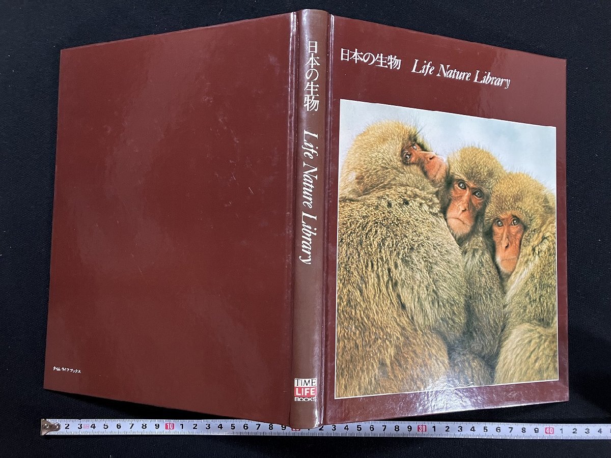 趣味・スポーツ・実用 Life Nature Library 2025年最新】Yahoo!オークション -life nature library(自然科学