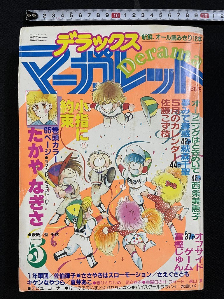 デラックスマーガレット 2009 11月特大号 デラックス