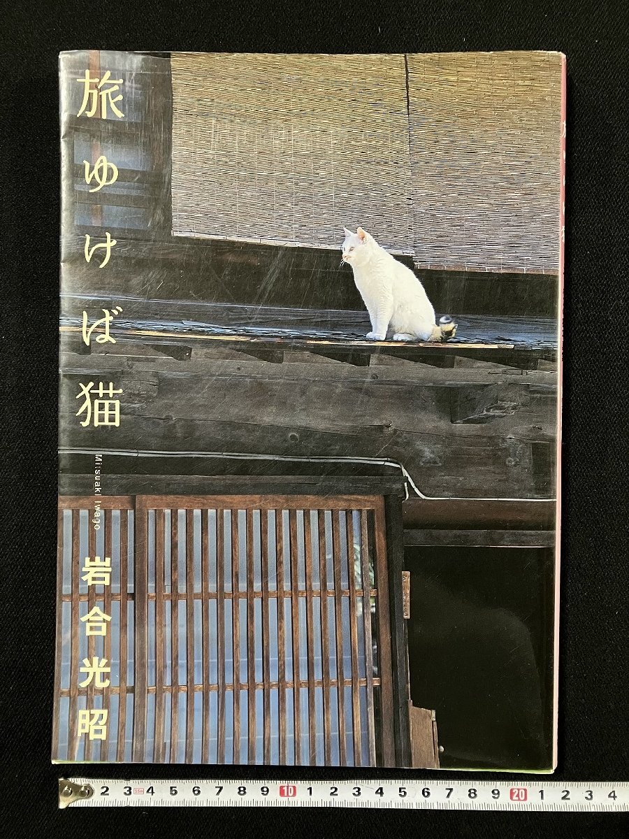 2025年最新】Yahoo!オークション -猫写真集(本、雑誌)の中古品 2025年最新】Yahoo!オークション -猫写真集(本、雑誌)の中古品