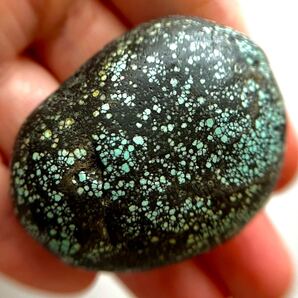 レア ターコイズ スパイダーウェブ 原石 268.9ct 天然ターコイズ 天然石 鉱物 コレクション スパイダーターコイズ ネットターコイズ