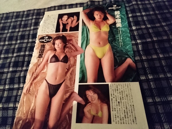 吉田忍、鈴木瑠美などグラビア切り抜き1枚