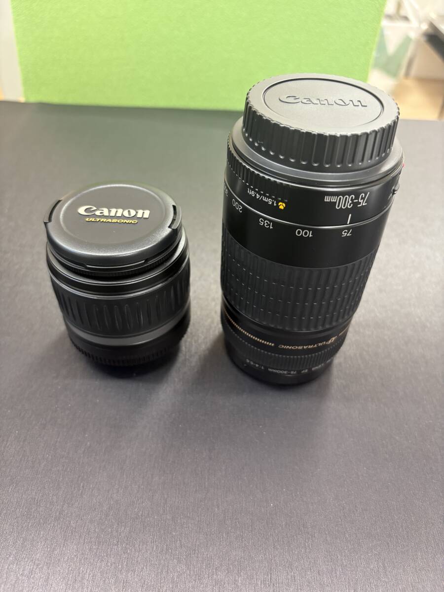 2025年最新】Yahoo!オークション -canon ef 75-300mm(デジタル 2025年最新】Yahoo!オークション -canon ef 75-300mm(デジタル