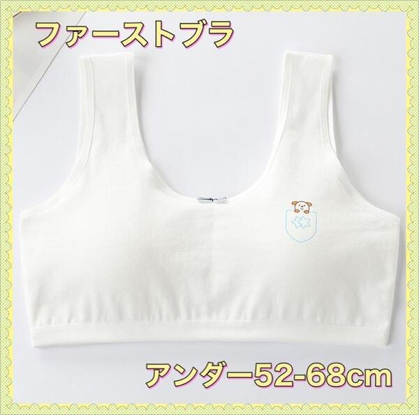 新品 白 子供 ブラ ファーストブラ スポーツブラ スポブラ 綿 コットン 小学生 中学生