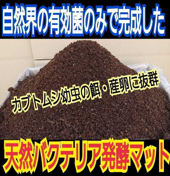 自然界の有効菌だけで完成した【天然バクテリア発酵カブトムシマット】幼虫の餌、産卵マットに抜群!オオヒラタケ菌床を粉砕し野外発酵!