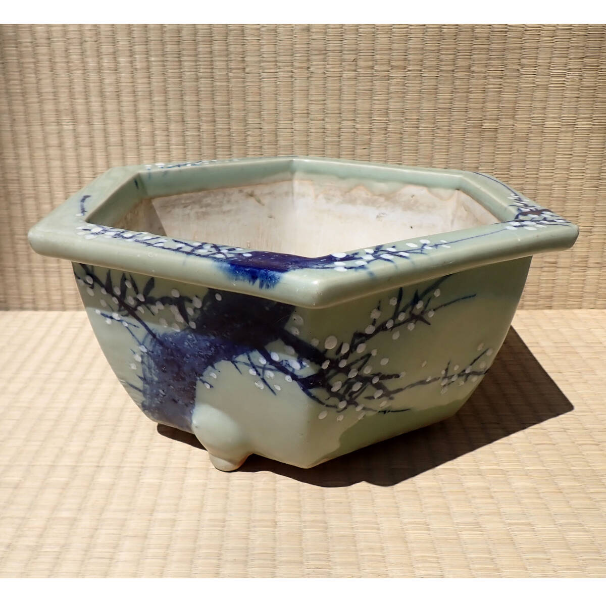 Yahoo!オークション -「青磁 蘭鉢」(花、園芸) の落札相場・落札価格 Yahoo!オークション -「青磁 蘭鉢」(花、園芸) の落札相場・落札価格