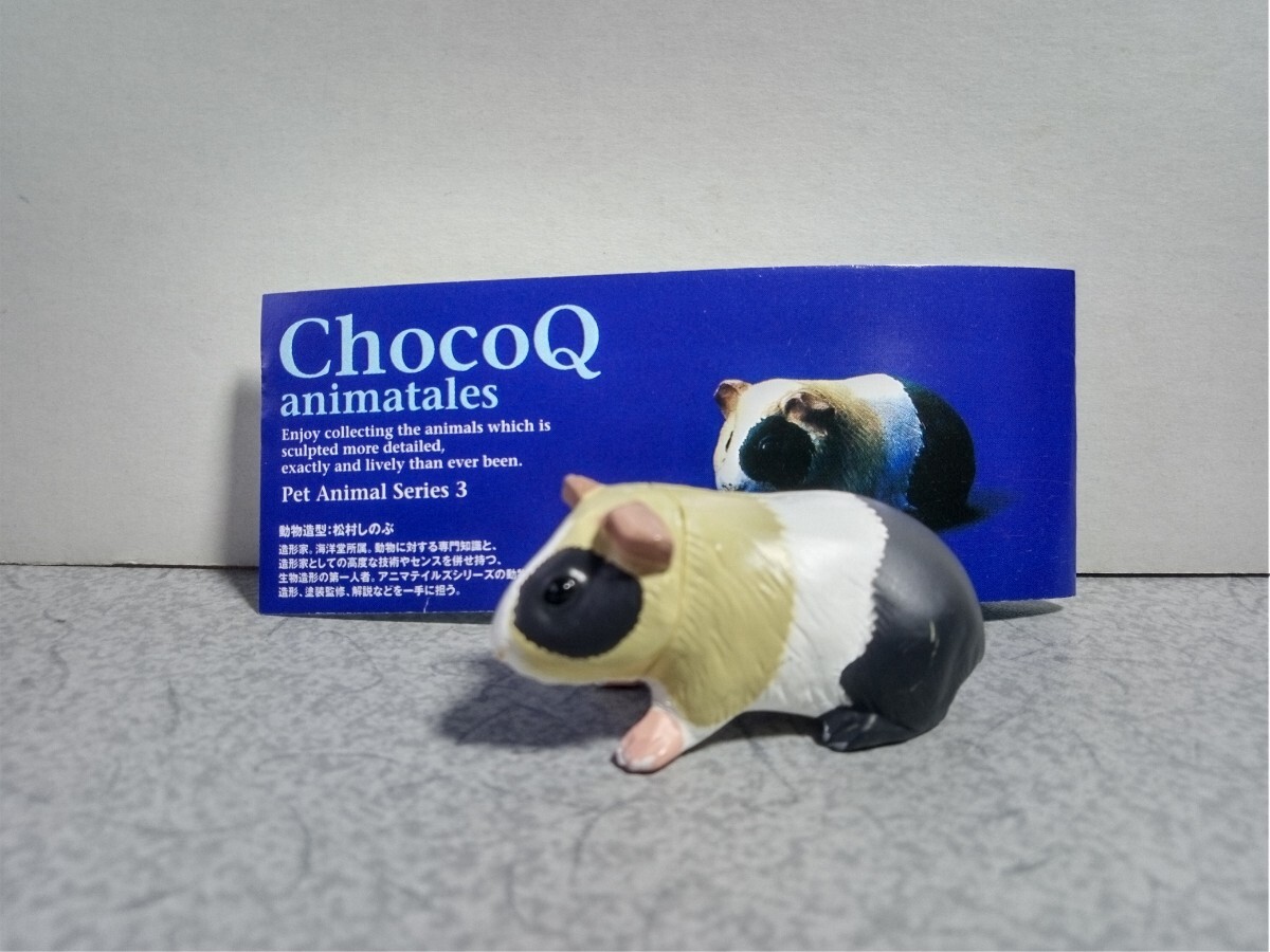 2025年最新】Yahoo!オークション - ペット動物コレクション 2025年最新】Yahoo!オークション - ペット動物コレクション