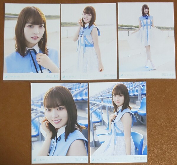 乃木坂46 阪口珠美 思い出が止まらなくなる アンダーver. Web限定 生写真 個別 5種コンプ