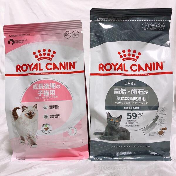 子猫卒業 ロイヤルカナン 猫 子猫後期 と デンタルケア 400g1袋ずつ #鍵しっぽネコの森キャットフード