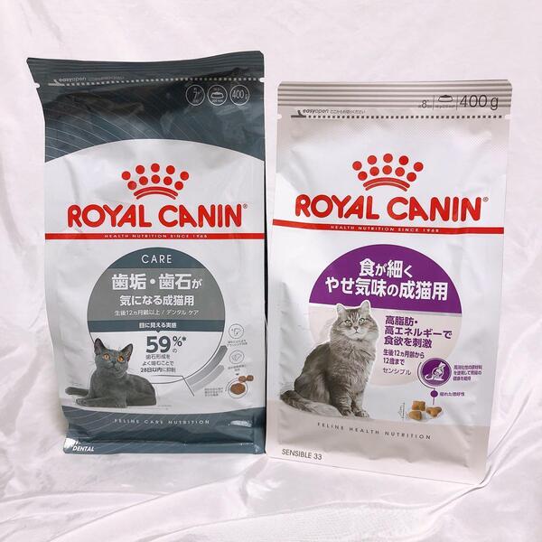 猫まっしぐら ロイヤルカナン 猫 食が細く痩せぎみ と デンタルケア 400g1袋ずつ #鍵しっぽネコの森キャットフード