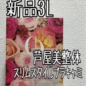 新品☆3L♪黒系♪芦屋美整体♪骨盤スリムスタイルブラキャミ☆D699