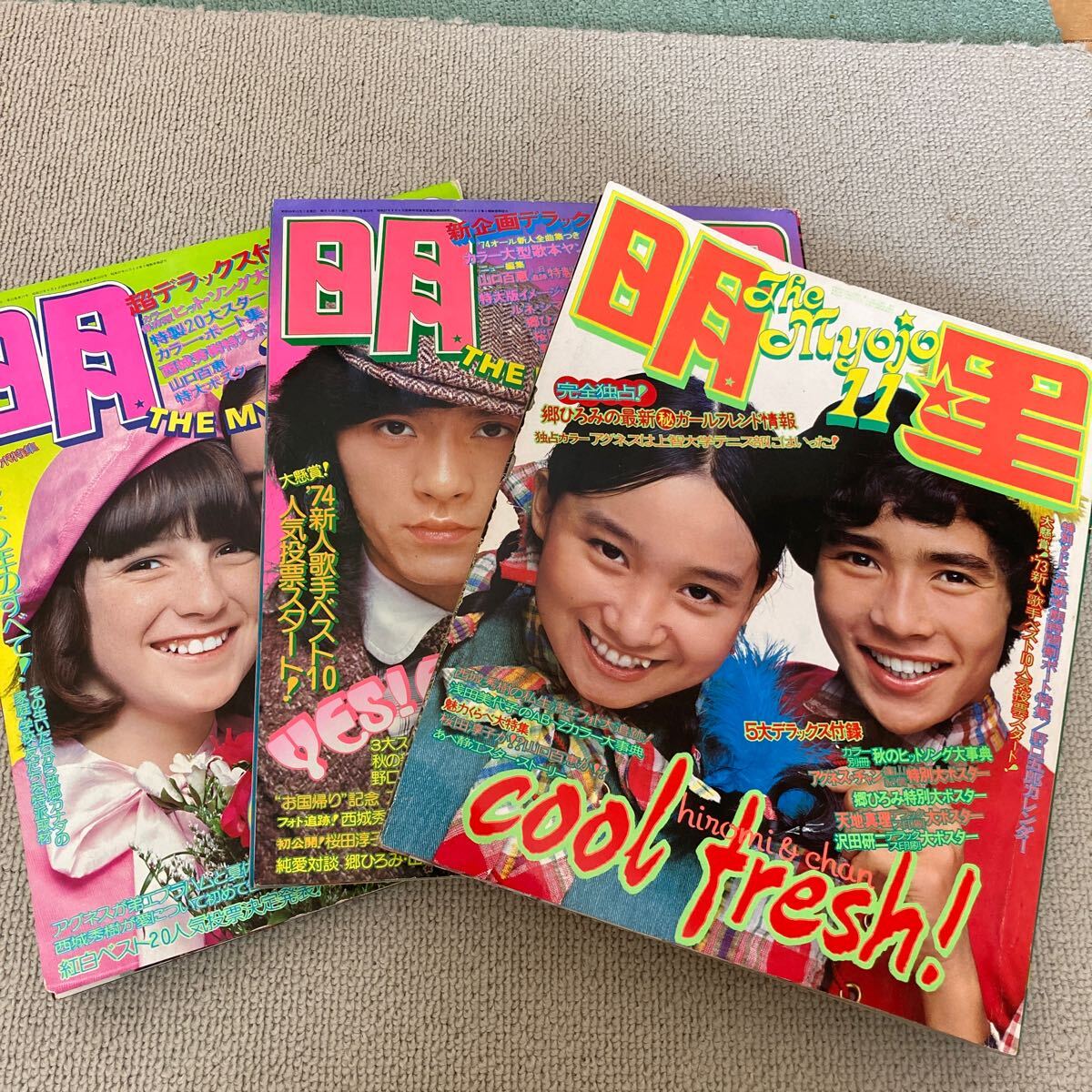 Yahoo!オークション -「明星 1973」(本、雑誌) の落札相場・落札価格 Yahoo!オークション -「明星 1973」(本、雑誌) の落札相場・落札価格