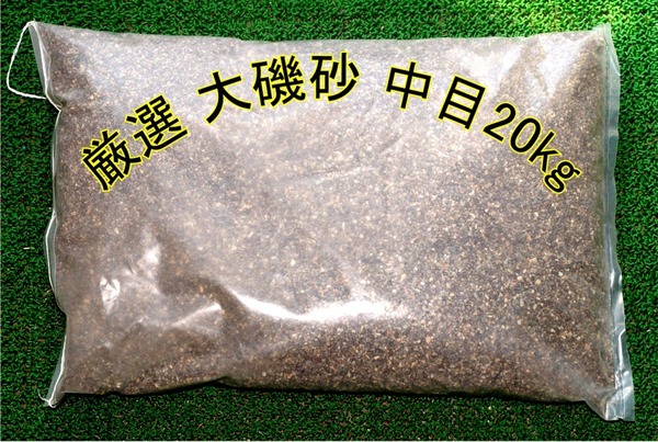 厳選 大磯砂 中目20kg 底砂 観賞魚 水槽 高品質 高級品 大磯