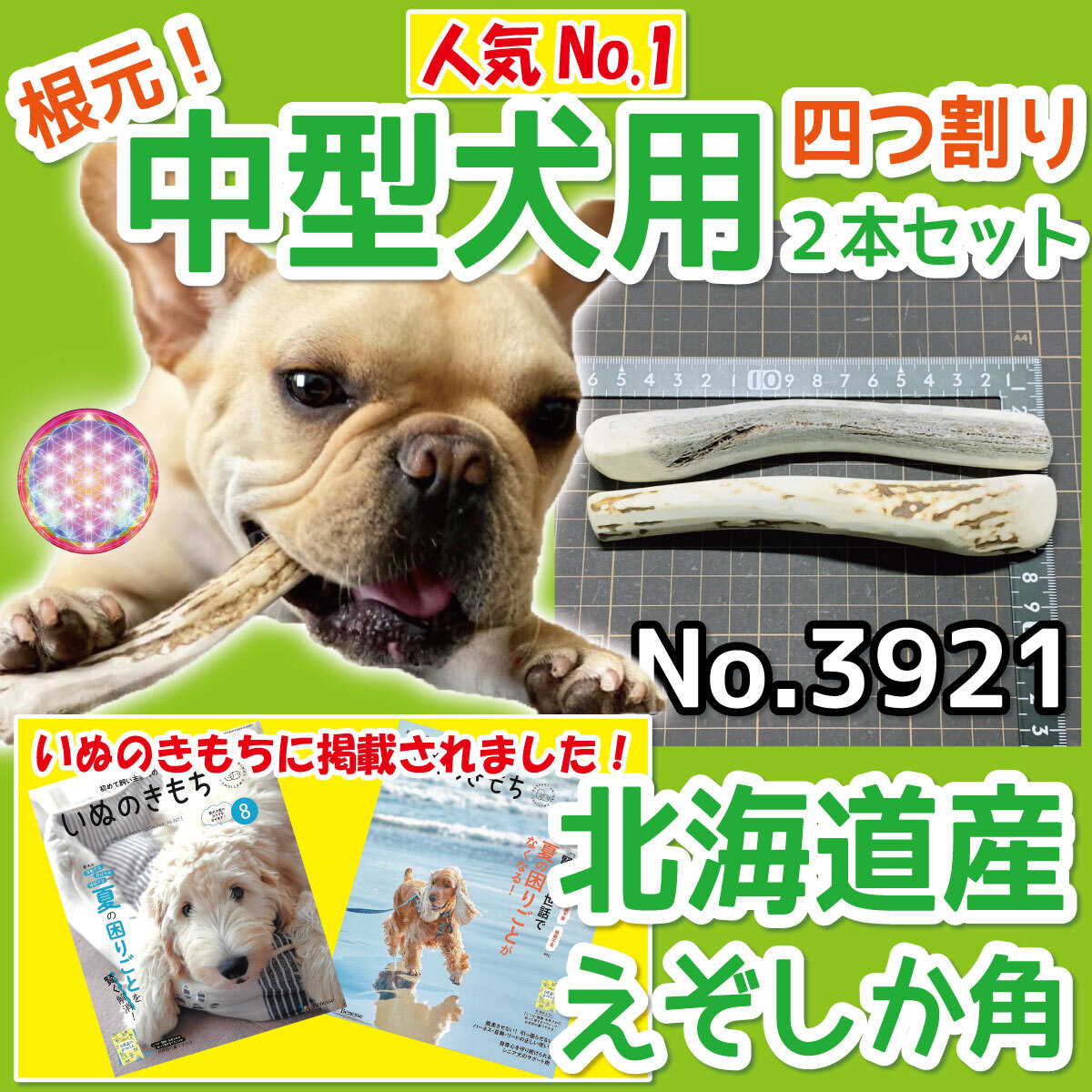 Yahoo!オークション -「シカ 角」の落札相場・落札価格 Yahoo!オークション -「シカ 角」の落札相場・落札価格