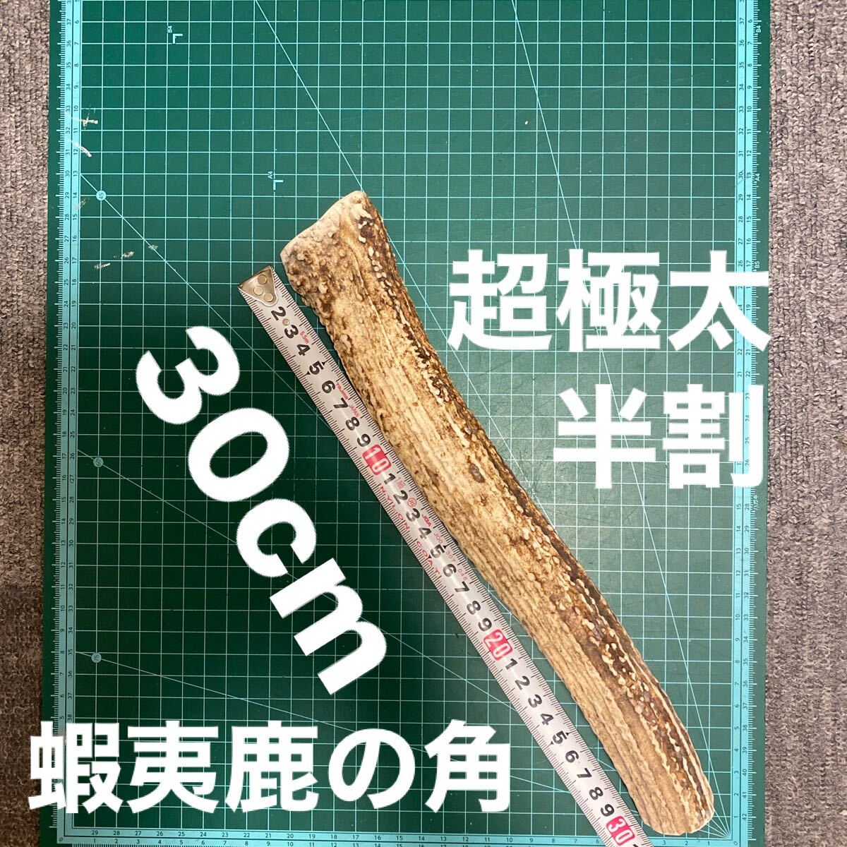 2025年最新】Yahoo!オークション -シカ 角の中古品・新品・未 2025年最新】Yahoo!オークション -シカ 角の中古品・新品・未