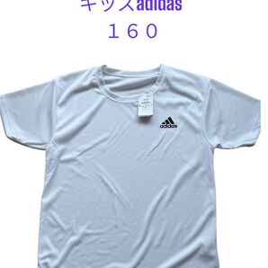 キッズ GUNZE adidasシャツ160 半袖Tシャツ スポーツブランド アディダス