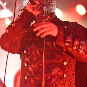 ライブ写真「32」