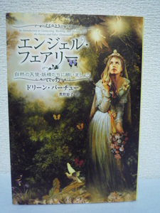 エンジェル・フェアリー 自然の天使・妖精たちに願いましょう ★ ドリーンバーチュー ◆ 妖精ごとの特性 コンタクトを取る方法 学業 贈り物