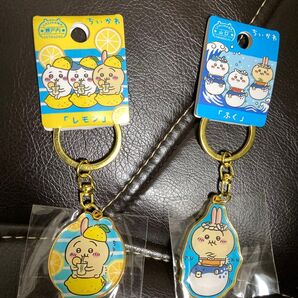 ちいかわ ダイカットキーホルダー ご当地キーホルダー うさぎ