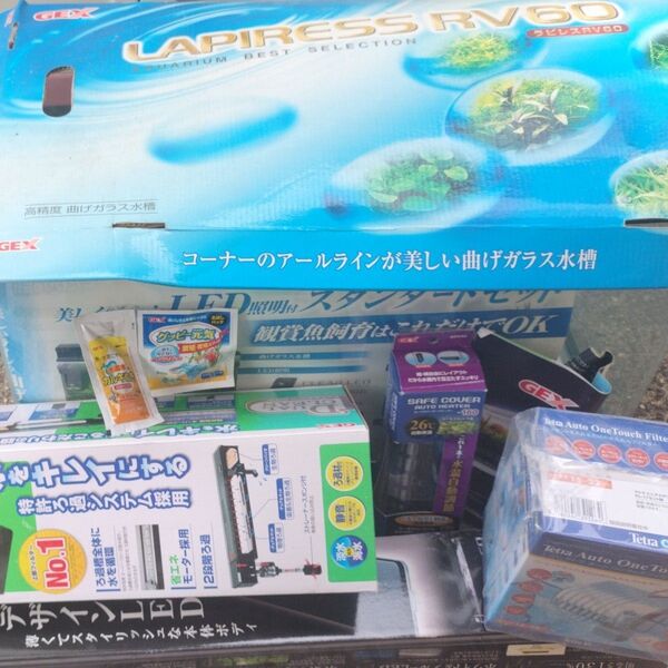 新品・未使用 GEX(ジェックス) ラピレスRV60曲げガラス水槽