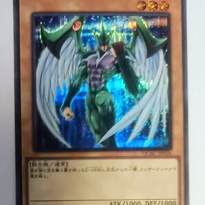 遊戯王 カード新品 E・HERO フェザーマン シークレットレア