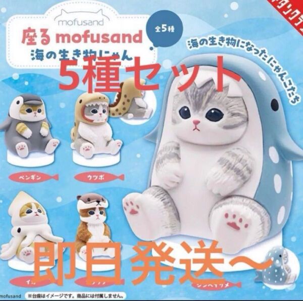 mofusand モフサンド 海の生き物にゃん フィギュア ガチャガチャ 5個 コンプ セット