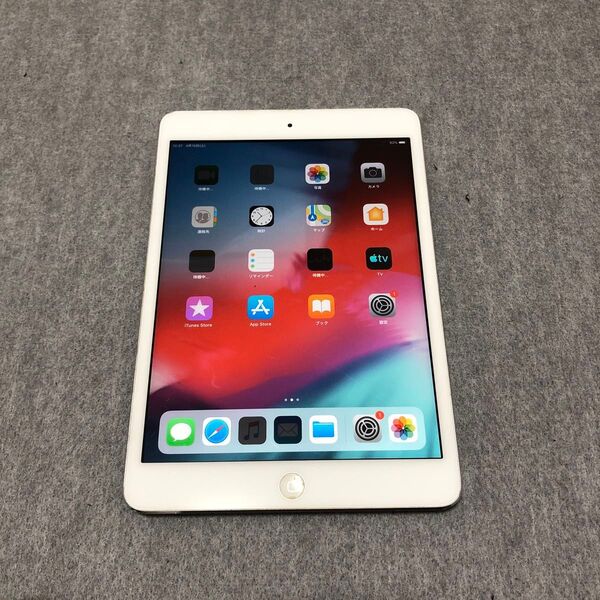 1002 iPad Wi-Fi mini2