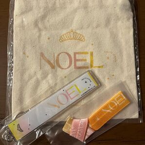 FRUITS ZIPPER 早瀬ノエル グッズまとめ売り ポーチ ストラップ アームバンド フルーツジッパー ふるっぱー