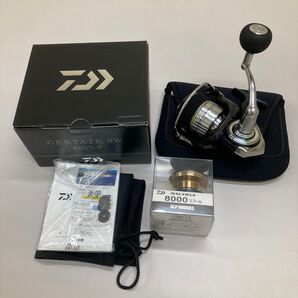 ダイワ 21セルテートSW 8000-P