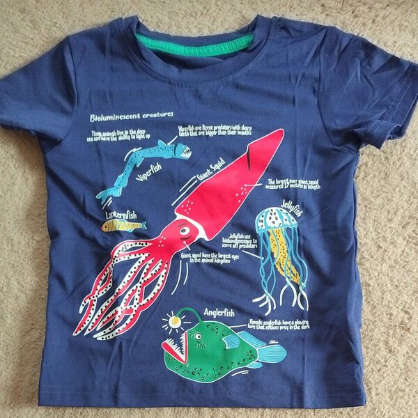 □92-98 半袖Tシャツ 海洋生物 深海魚 暗闇で光る 子ども 男の子 女の子 水族館□