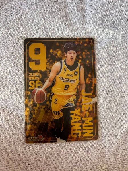 Bリーグウエハース 仙台89ERS ヤンジェミン