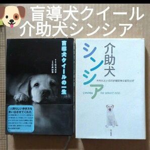 盲導犬クイールの一生 介助犬シンシア 視覚障害ペット犬 ラブラドール レトリバー