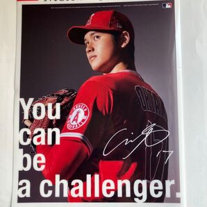 大谷翔平 クリアファイル 非売品 未使用