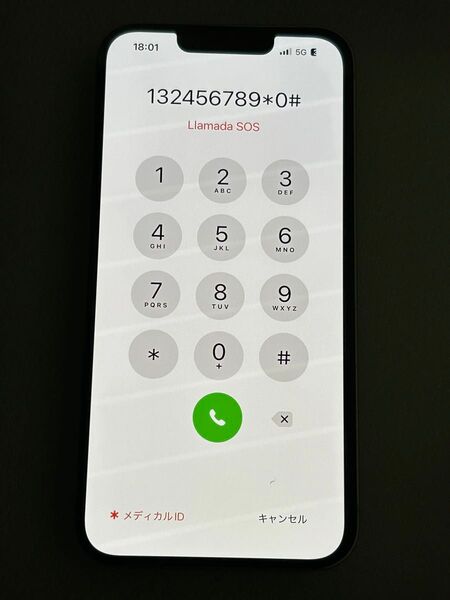 iPhone13 有機パネル 純正 交換用 パーツ 画面のみ 修理 iPhone