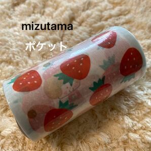 mt mizutamaいちご ポケット