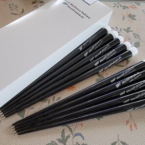【新品・未使用】涙滴ピン矢 ブラック 10本セット Lタイプ