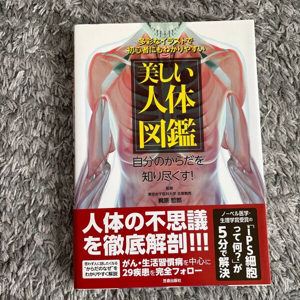 美しい人体図鑑 多彩なイラストで初心者にもわかりやすい 自分のからだを知り尽くす! (多彩なイラストで初心者にもわかりやすい)