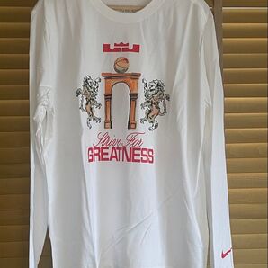 NIKE レブロンロングTシャツ Strive For Greatness 新品未使用