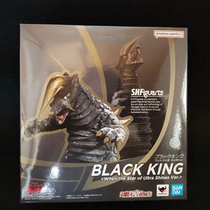 フィギュアーツ ブラックキング