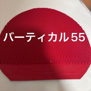 バーティカル55 レッド 0.5ミリ 10分使用
