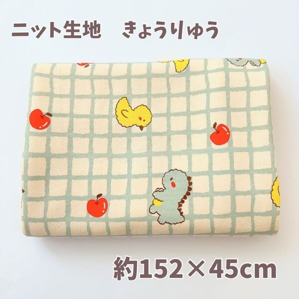 韓国生地 ニット生地 恐竜 約152×45cm ニット生地 ハンドメイド コットン きょうりゅう