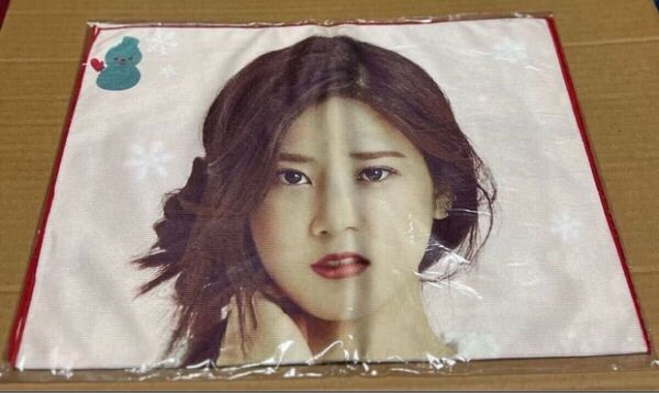 Apink チョロン 公式ビックタオル 2016年クリスマス限定新品未開封/ウンジ ボミ ナウン ハヨン ナムジュ/定価4800円