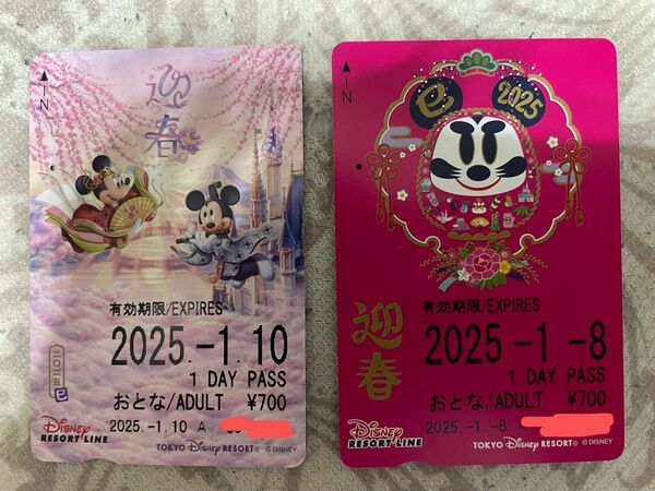 ディズニーリゾートライン リゾートライン フリーきっぷ
