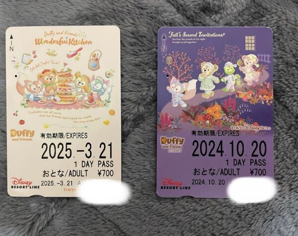 ディズニーリゾートライン フリーきっぷ デザインのフリーきっぷ