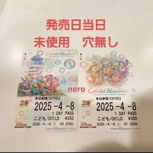 ディズニーリゾートライン きっぷ 期限切れ ダッフィー カラフルハピネス 2枚