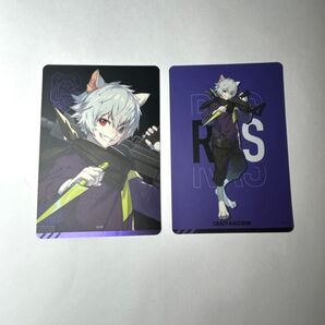 crazy racoon CR チップス ステッカー ras